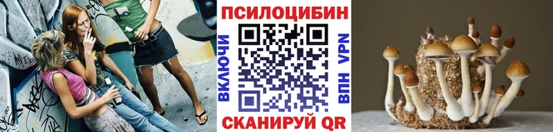 Галлюциногенные грибы Psilocybine cubensis  это состав  Бикин  купить наркотик 